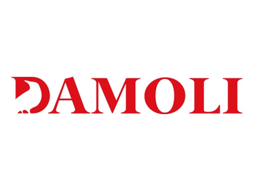 Damoli logo