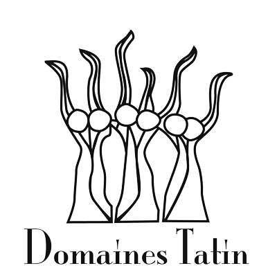 Logo Tatin
