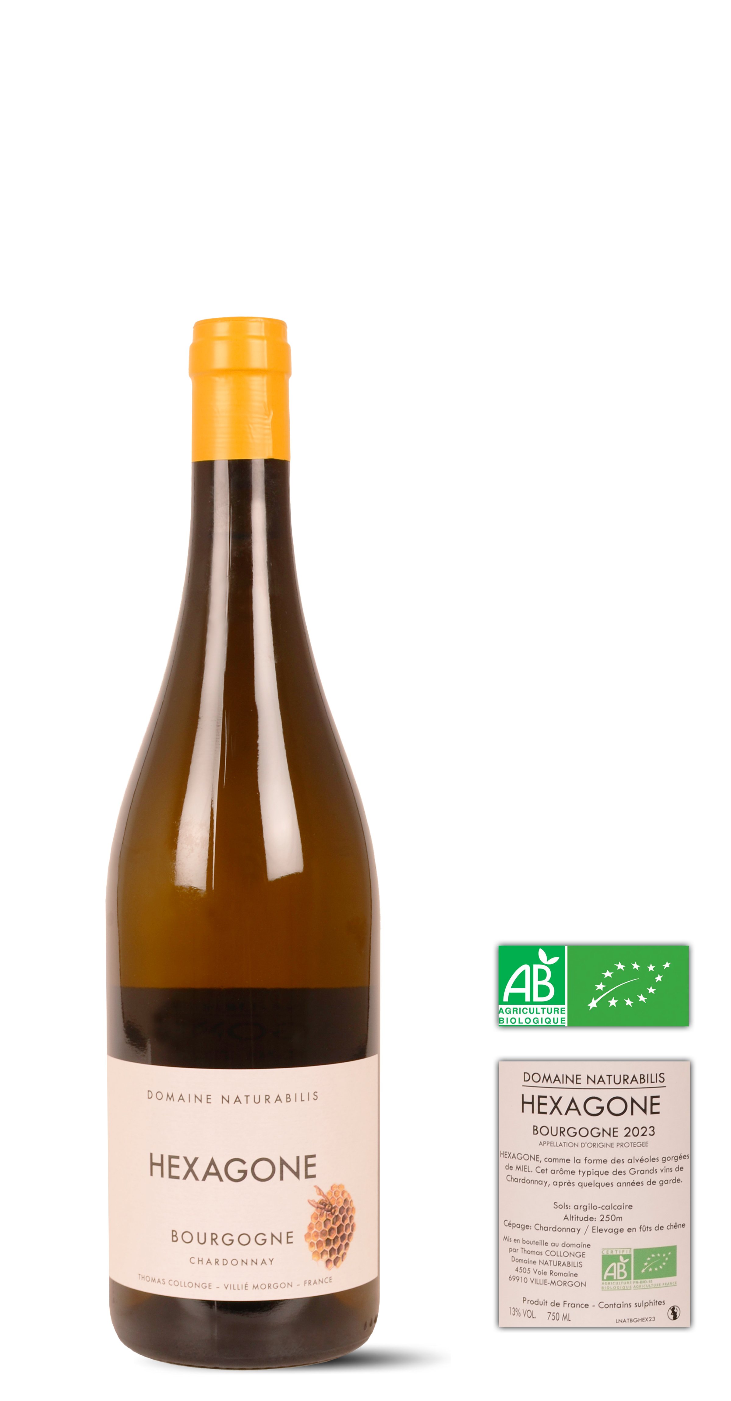 afbeelding van