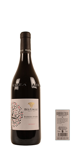 immagine di Barbera d'Alba