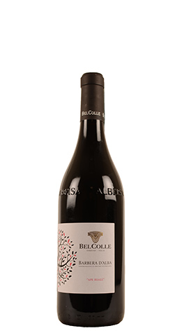 immagine di Barbera d'Alba