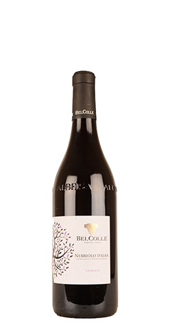 immagine di Nebbiolo d'Alba