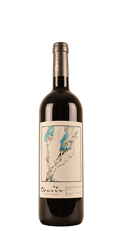 picture of Uco Valley - Bodega de Arte