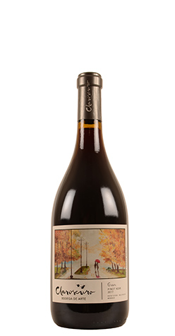 image de Uco Valley - Bodega de Arte