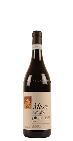 immagine di Langhe Pinot Nero Doc