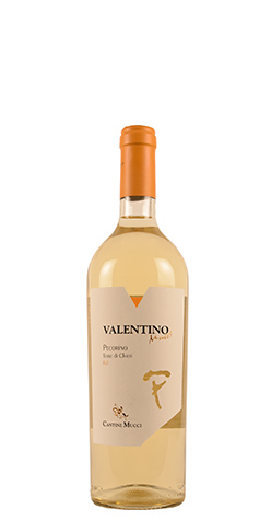 immagine di Valentino
