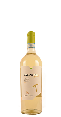 immagine di Valentino
