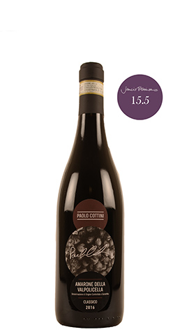 immagine di AMARONE della Valpolicella Classico