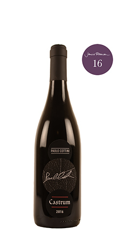 afbeelding van Paolo Cottini - Castrum - Veronese - Corvina 100%