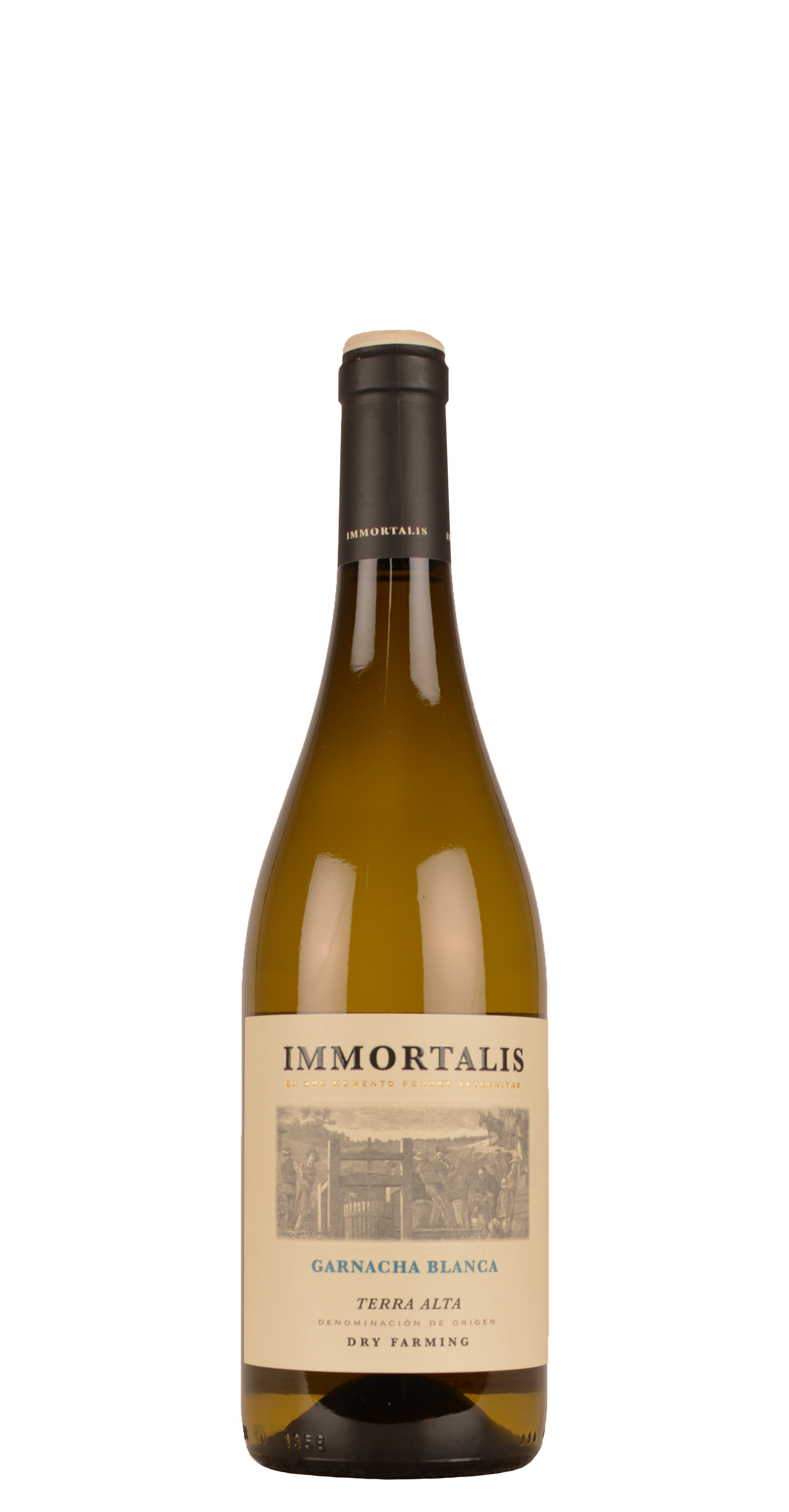 afbeelding van Garnacha - Terra alta