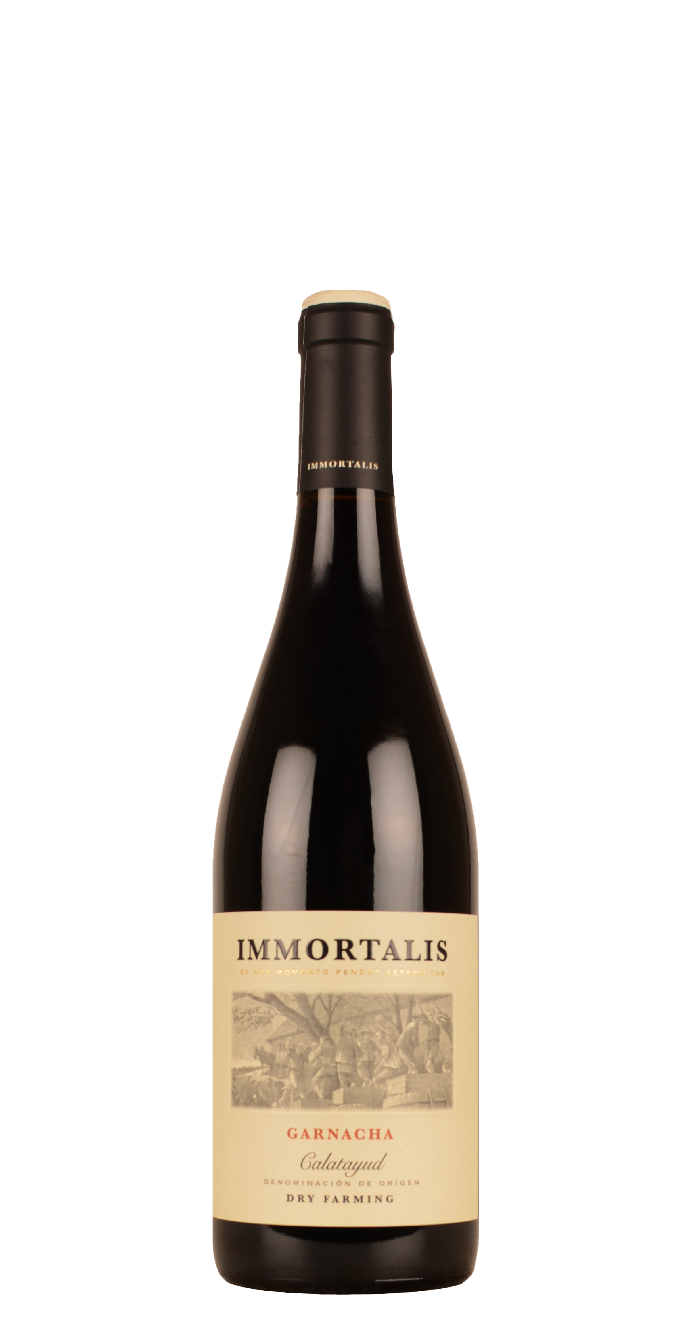 afbeelding van Garnacha Tinto - Calatayud