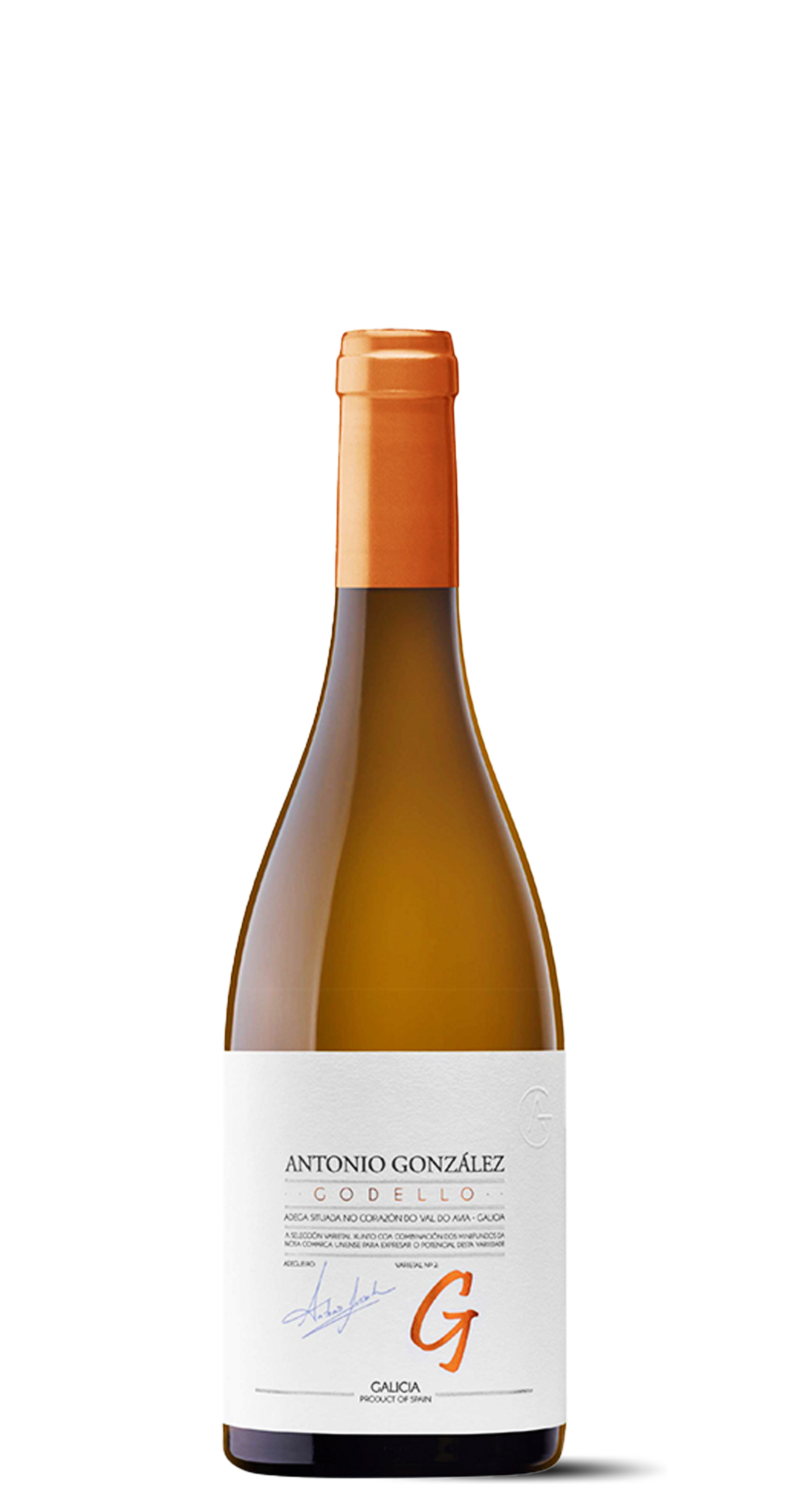 afbeelding van Antonio Gonzalez - Galicia