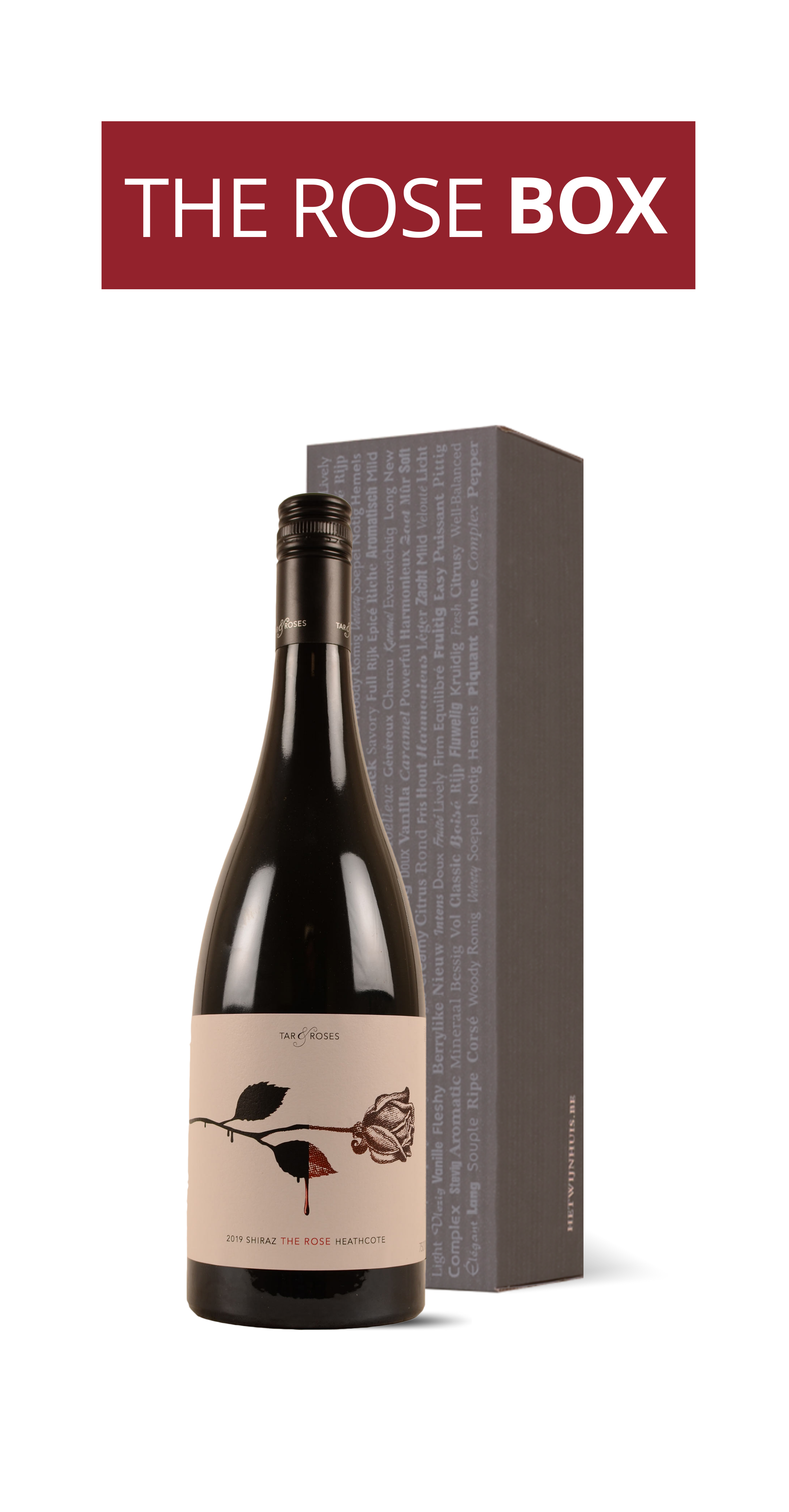 picture of  The Rose